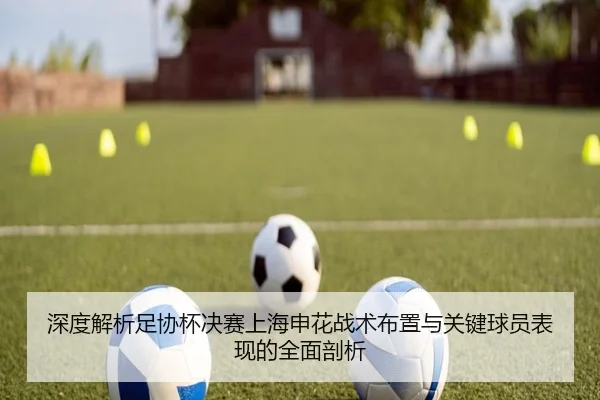 深度解析足协杯决赛上海申花战术布置与关键球员表现的全面剖析